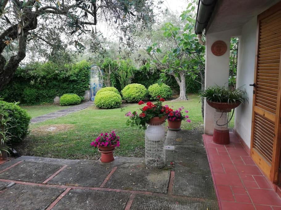 Villa Brezza Capaccio Exterior photo